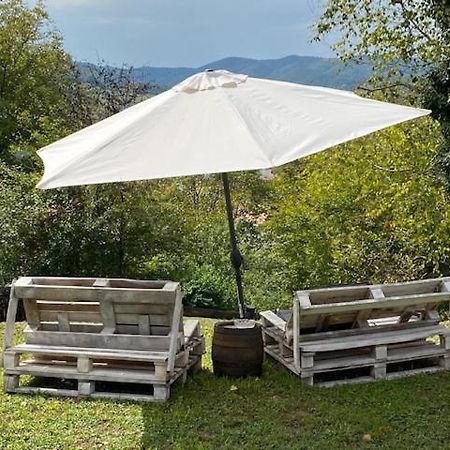 Studio Apartman "Djed" Hrvatska Kostajnica Buitenkant foto