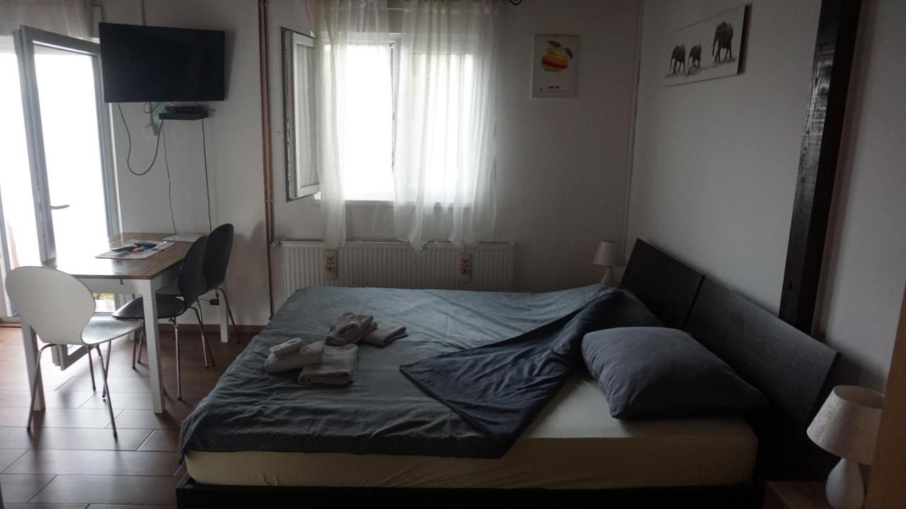 Studio Apartman "Djed" Hrvatska Kostajnica Buitenkant foto